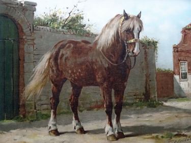 Zeeuws Paard